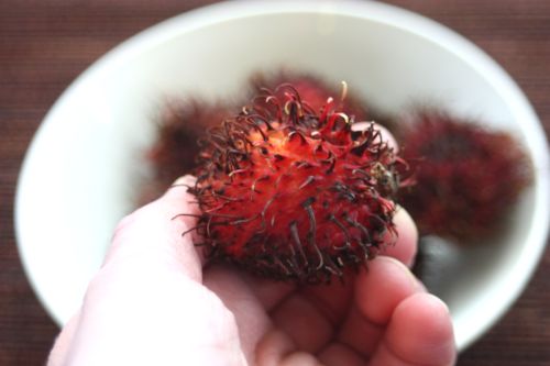 rambutan2