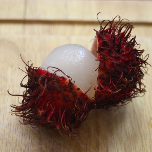 rambutan3